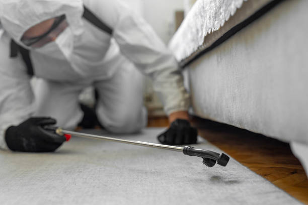 Professional Termite Control technician working in Grantsville, UT