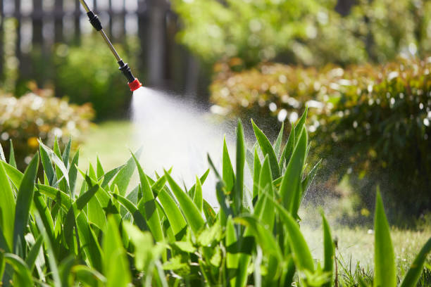 24/7 Emergency Termite Control experts in Grantsville, UT