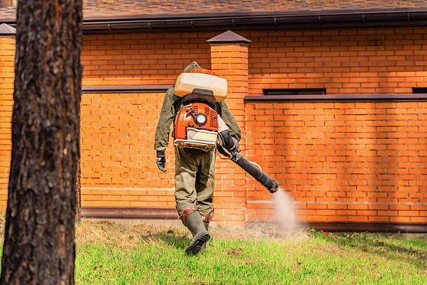 Trusted Rodent Control service in Grantsville, UT - Nex Pest Control